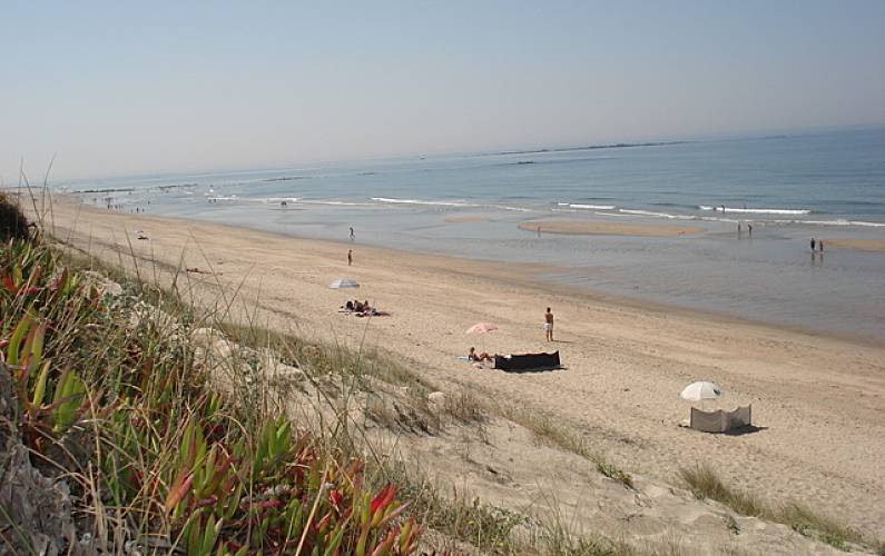 Casa Arredores Braga Esposende vivenda - Arredores