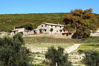 Finca Ecologica de 40 hectareas, con piscina Valencia