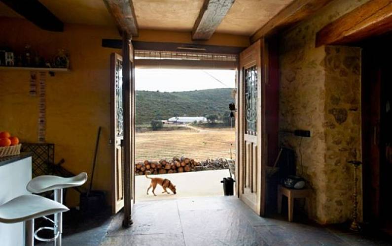 Finca Ecologica de 40 hectareas, con piscina Valencia