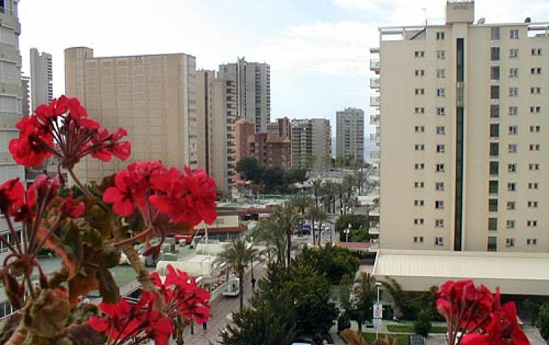 5 Vistas da casa Alicante Benidorm Apartamento - Vistas da casa
