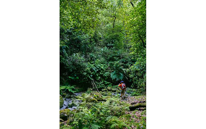 Vivenda Actividades próximas Ilha da Madeira Santana Villa rural - Actividades próximas