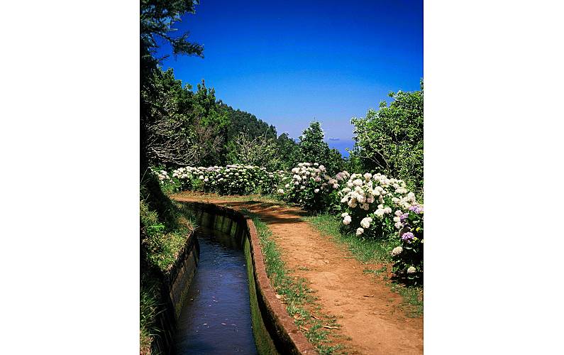 Vivenda Actividades próximas Ilha da Madeira Santana Villa rural - Actividades próximas