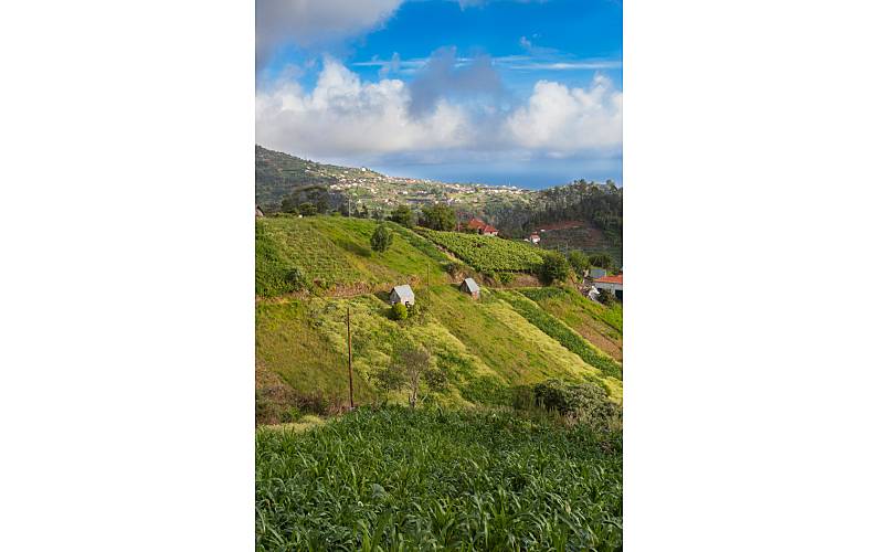 Vivenda Actividades próximas Ilha da Madeira Santana Villa rural - Actividades próximas