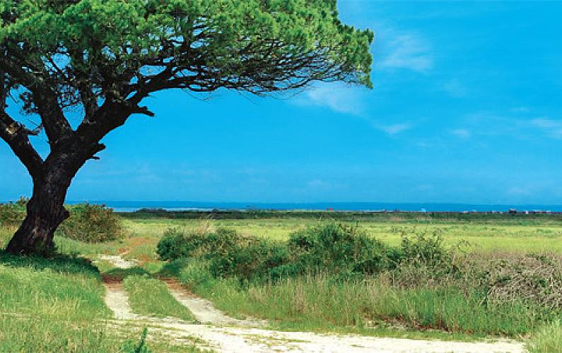Casa Arredores Setúbal Alcácer do Sal vivenda - Arredores