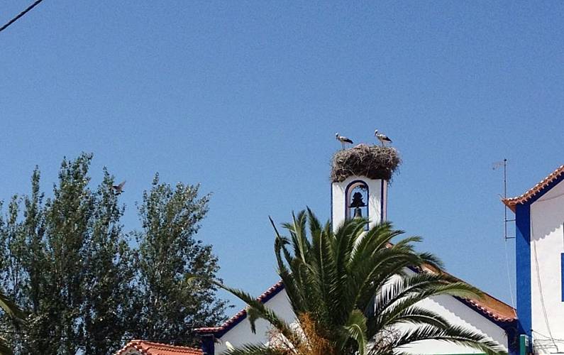 Casa Casa-de-banho Setúbal Alcácer do Sal vivenda - Casa-de-banho