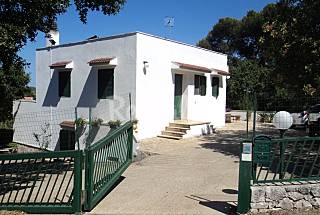 Ville bi-famigliari a 8 km dalla spiaggia