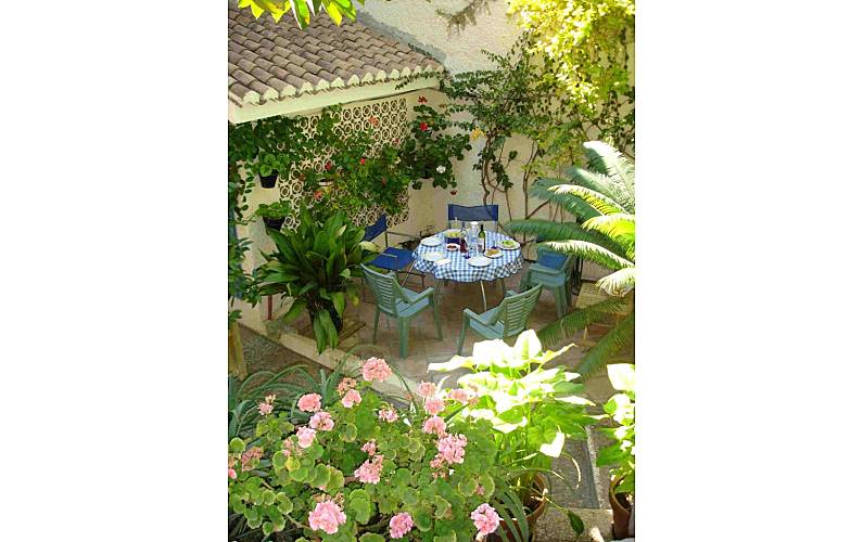 Casa Terraço Granada Almuñécar casa - Terraço