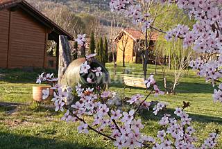 Complejo turistico en el Valle del Jerte (Cá...