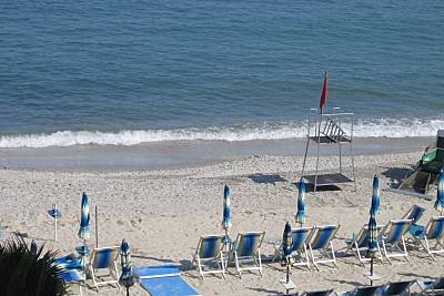 Spiagge Per Cani In Italia Scopri I Luoghi Pet Friendly