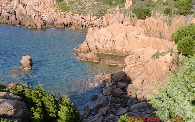 Sardegna-Costa Paradiso-Villa per 6 persone