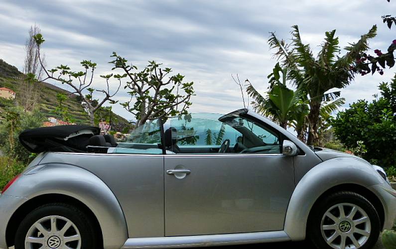 Casa Outros Ilha da Madeira Ribeira Brava vivenda - Outros