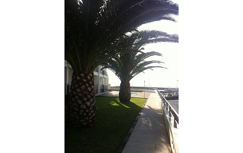 Casa Marina - Apartamento T4 Duplex Ilha de São Miguel - Terraço