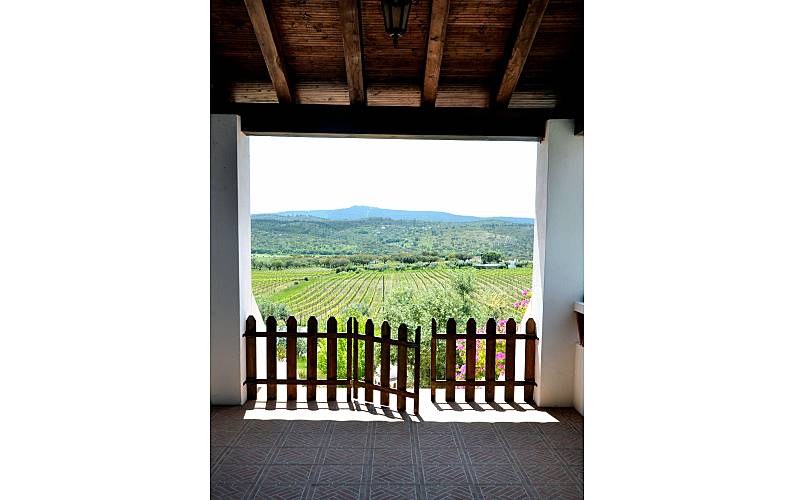 Villa pour 8 personnes à Glória, Estremoz 4