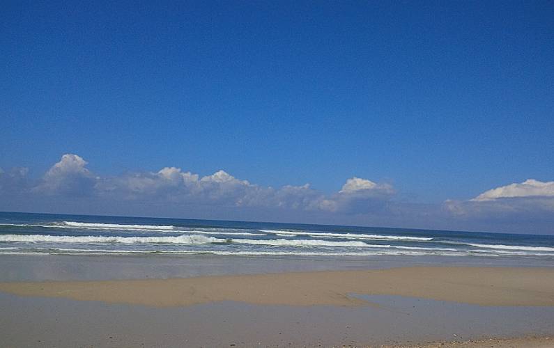 Casas Actividades próximas Aveiro Ovar Casas - Actividades próximas