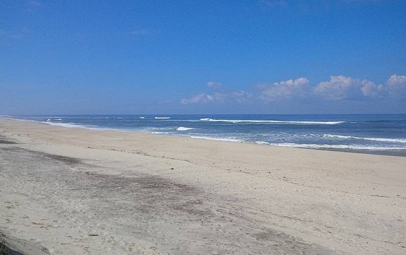 Casas Actividades próximas Aveiro Ovar Casas - Actividades próximas