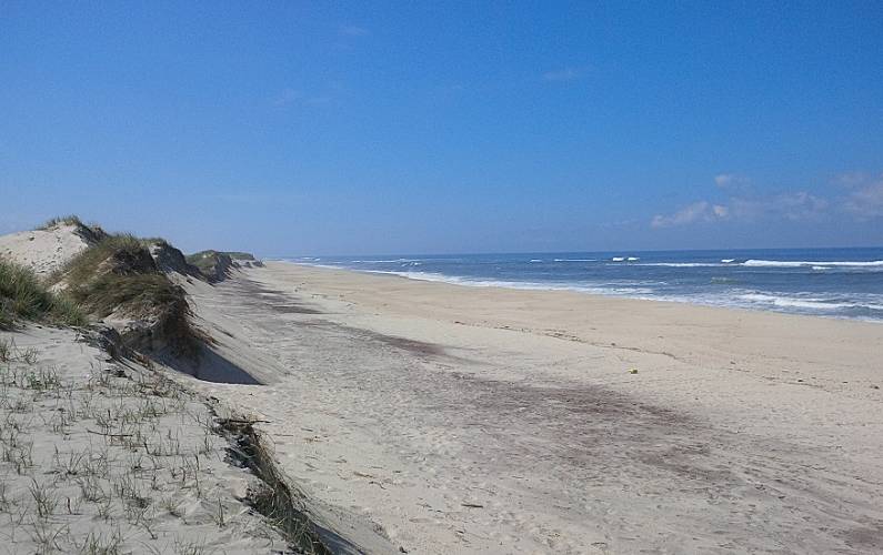 Casas Arredores Aveiro Ovar Casas - Arredores