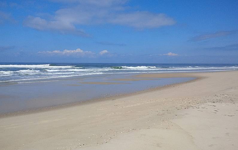 Casas Arredores Aveiro Ovar Casas - Arredores