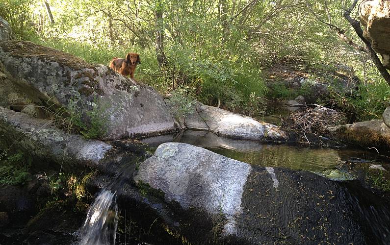 Villa para 10 personas en Manzanares el Real Madrid