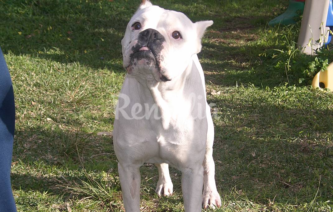 Casa para 1-10 personas a 177 m de la playa Pontevedra