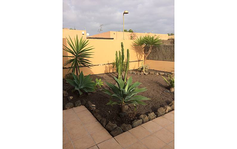 Vivenda Jardim Forteventura La Oliva vivenda - Jardim