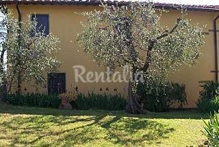 Agriturismo I Casalini