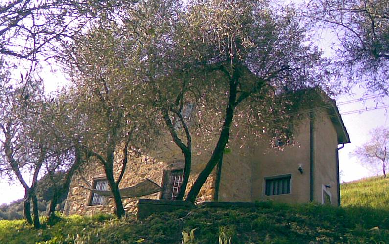 House Outdoors Lucca Camaiore Countryside villa - Outdoors
