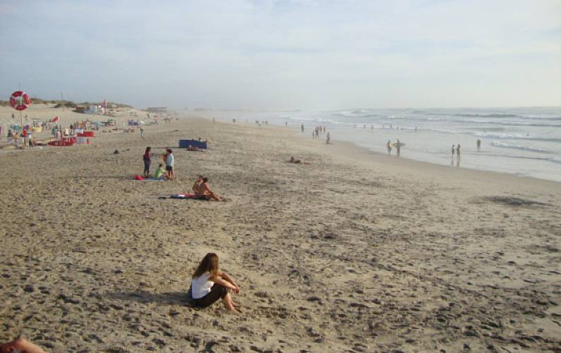 T2 Actividades próximas Aveiro Ílhavo Apartamento - Actividades próximas