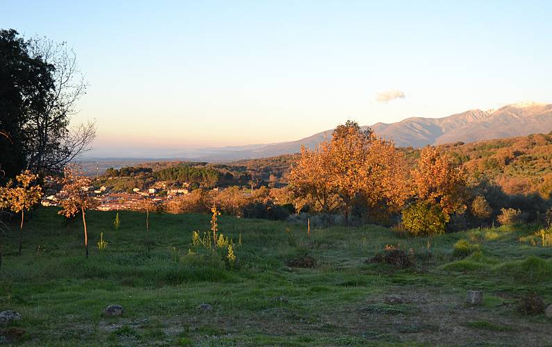 Casa Para 10 11 Personas Con Piscina Candeleda Ávila Valle Del Tiétar 4446