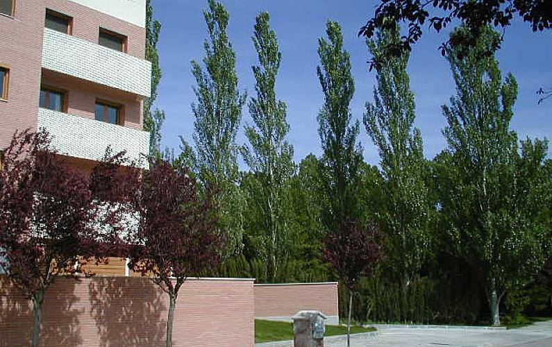 Apartamento Exterior da casa Huesca Jaca Apartamento - Exterior da casa