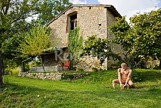 Bed and Breakfast immerso nel verde del Mugello