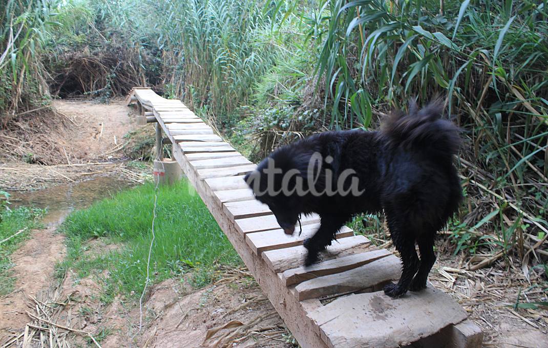 Casa en alquiler con piscina y jacuzzi, Tarragona