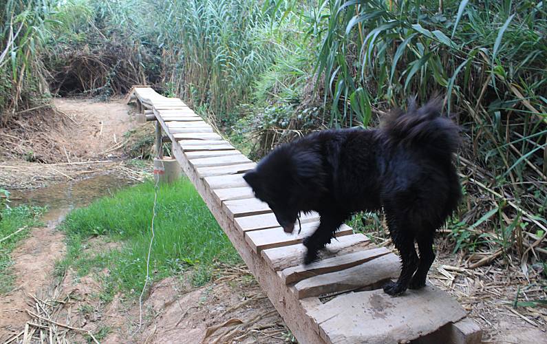 Casa en alquiler con piscina y jacuzzi, Tarragona