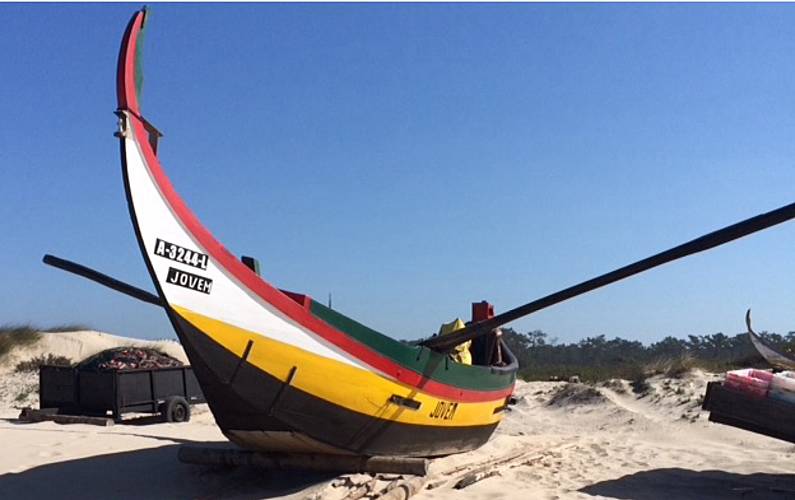 Apartamento Arredores Aveiro Ovar Apartamento - Arredores