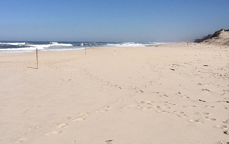 Apartamento Arredores Aveiro Ovar Apartamento - Arredores