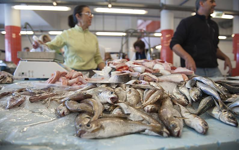 Vivenda Arredores Aveiro Ílhavo vivenda - Arredores