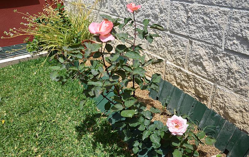 Casa Jardim Málaga Vélez-Málaga casa - Jardim