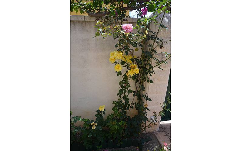 Casa Jardim Málaga Vélez-Málaga casa - Jardim