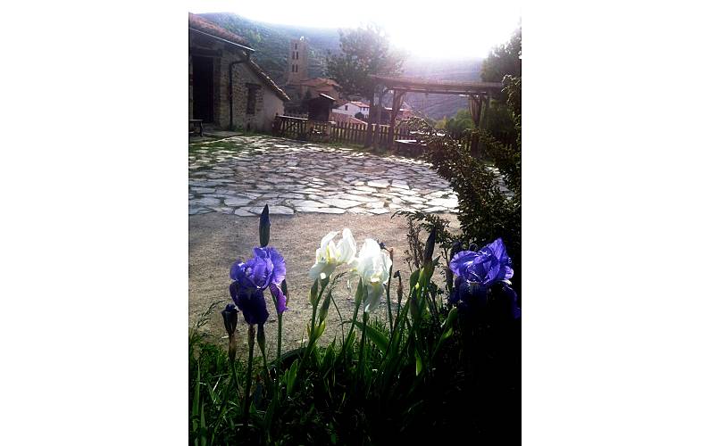 Casa Jardim Teruel Villarroya de los Pinares Casa rural - Jardim