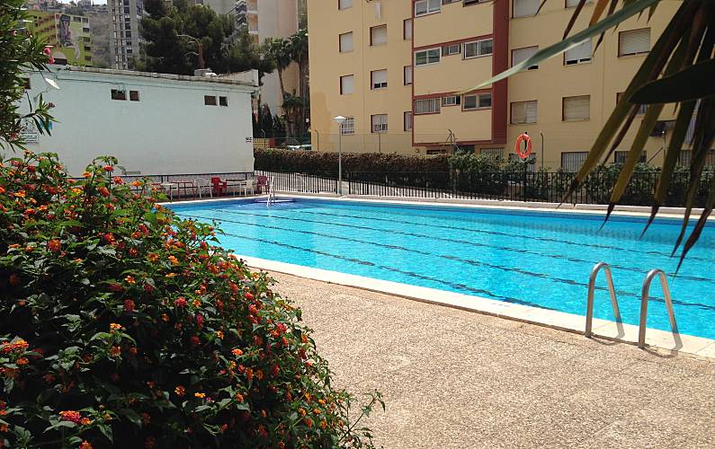 Apartamento Piscina Alicante Benidorm Apartamento - Piscina