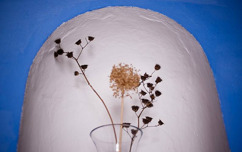 Horta Outros Évora Borba Casa rural - Outros