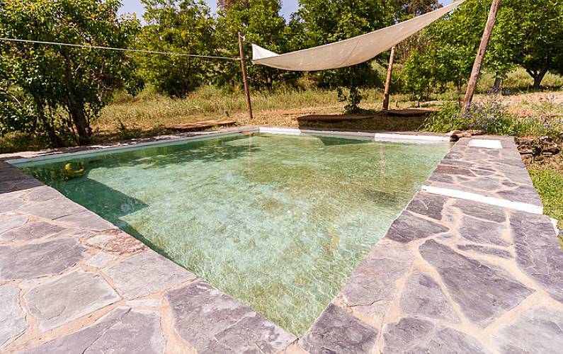 Horta Outros Évora Borba Casa rural - Outros