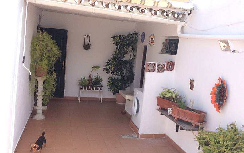 Maison Terrasse Malaga Marbella maison - Terrasse