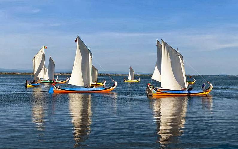 Vivenda Arredores Aveiro Ovar vivenda - Arredores