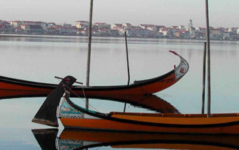 Vivenda Arredores Aveiro Ovar vivenda - Arredores