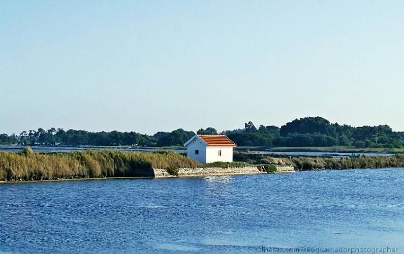 Vivenda Arredores Aveiro Ovar vivenda - Arredores