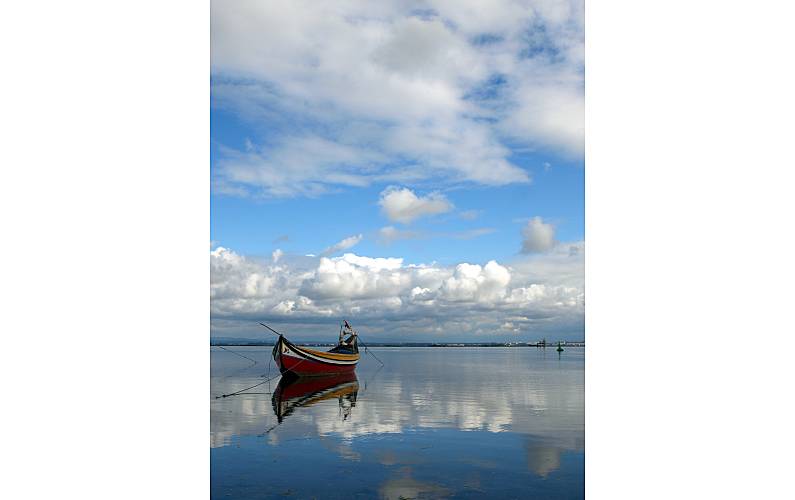 Vivenda Arredores Aveiro Ovar vivenda - Arredores
