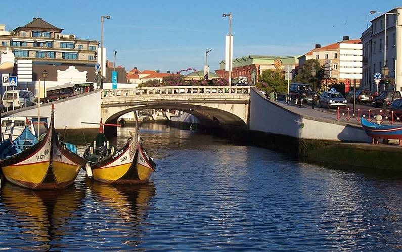 Vivenda Arredores Aveiro Ovar vivenda - Arredores