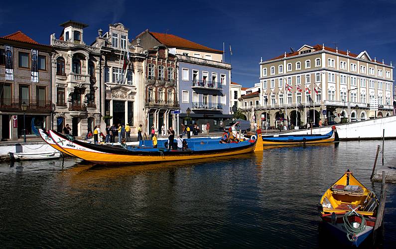 Vivenda Arredores Aveiro Ovar vivenda - Arredores