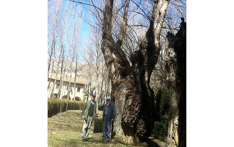 Casa Arredores Teruel Villarroya de los Pinares Casa rural - Arredores