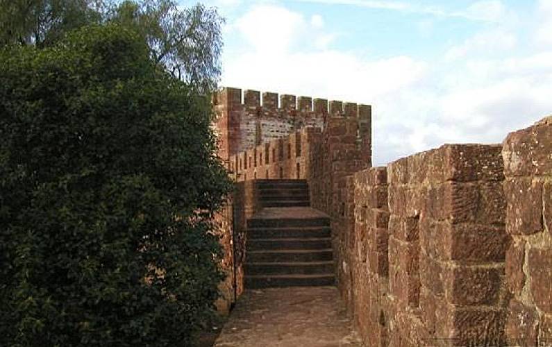 Pescador Arredores Algarve-Faro Lagoa Apartamento - Arredores